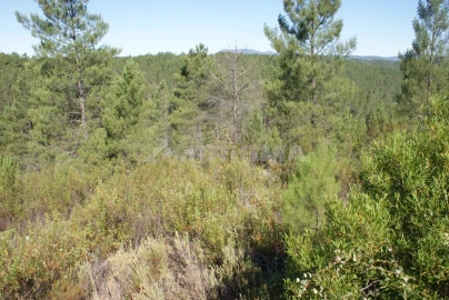 Terreno para Venda em Freixial e Juncal do Campo
