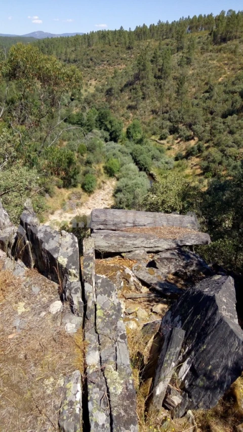 Terreno para Venda em Freixial e Juncal do Campo