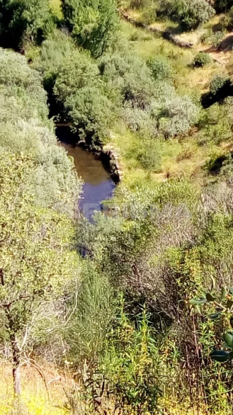 Terreno para Venda em Freixial e Juncal do Campo