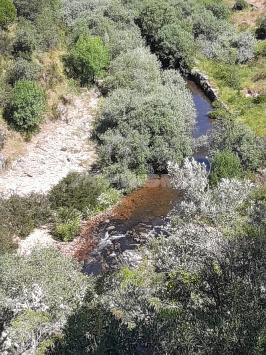 Terreno para Venda em Freixial e Juncal do Campo Foto 13