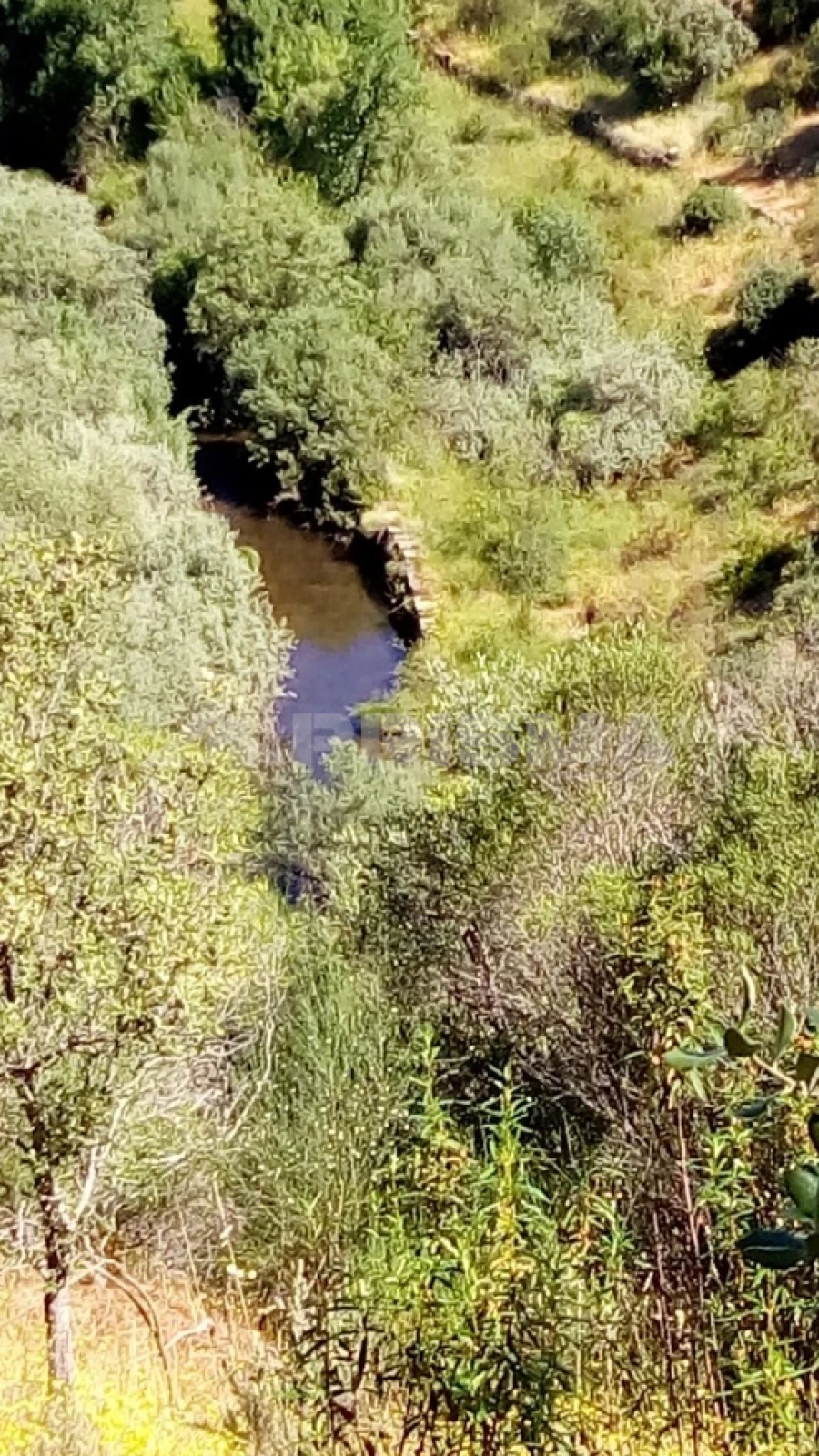 Terreno para Venda em Freixial e Juncal do Campo Foto 14