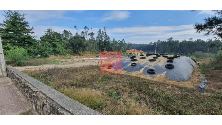 Terreno para Venda em Macieira da Maia Foto 2