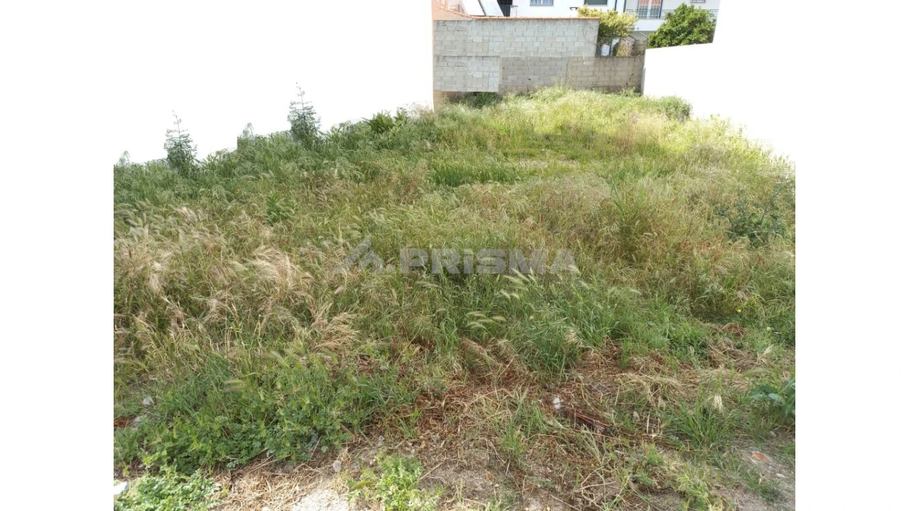 Terreno para Venda em Alcains Foto 1