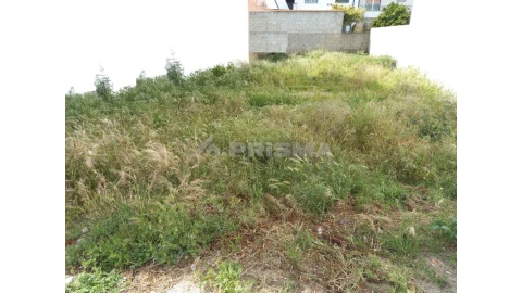 Terreno para Venda em Alcains