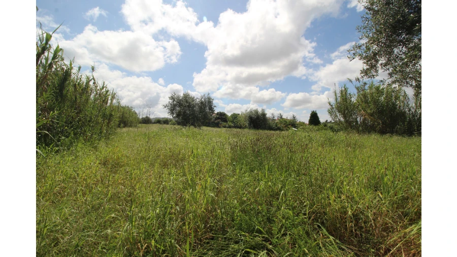 Terreno para Venda em Furadouro Foto 2