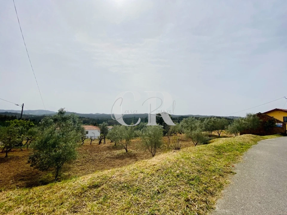 Terreno para Venda em Graça Foto 14