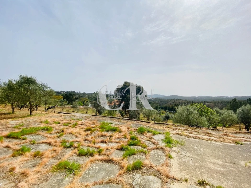 Terreno para Venda em Graça Foto 9
