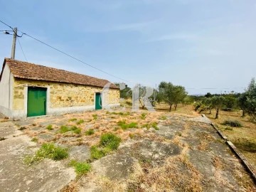 Terreno para Venda em Graça