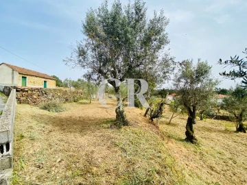 Terreno para Venda em Graça