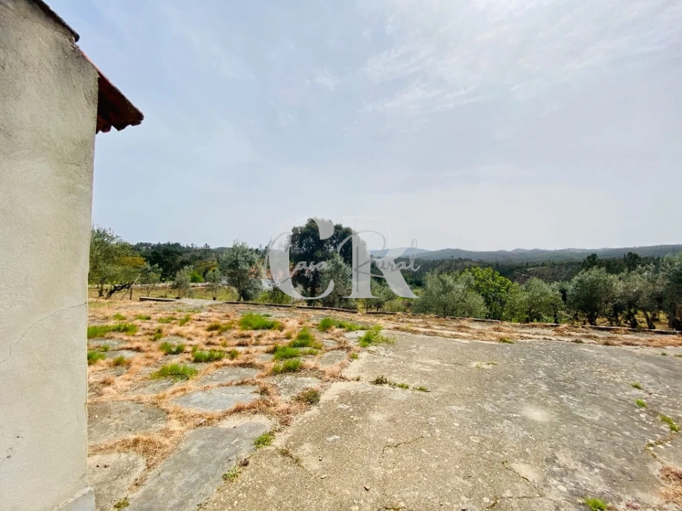 Terreno para Venda em Graça Foto 8