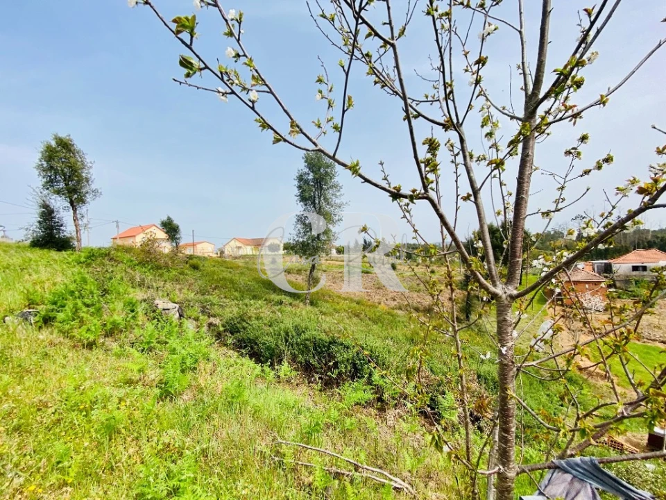 Terreno para Venda em Graça Foto 12