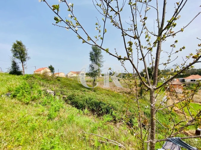 Terreno para Venda em Graça Foto 12