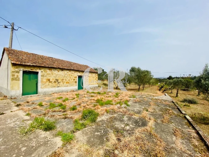 Terreno para Venda em Graça Foto 2