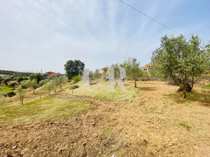 Terreno para Venda em Graça Foto 10