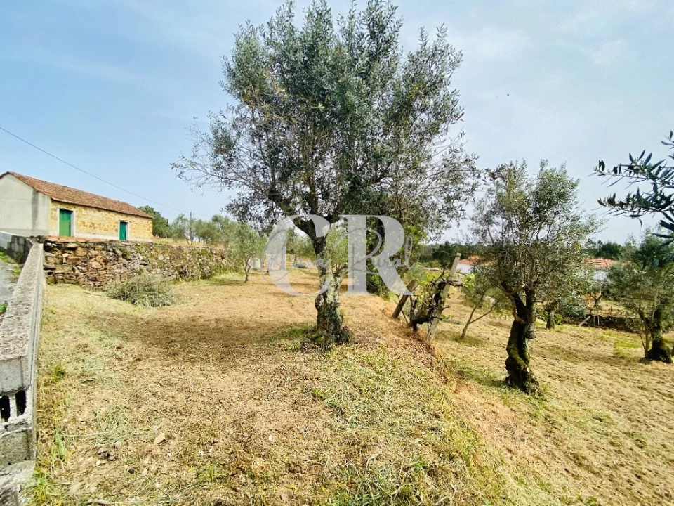 Terreno para Venda em Graça Foto 6
