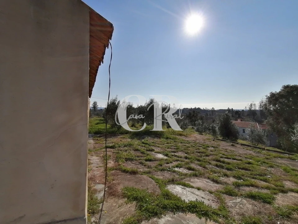 Terreno para Venda em Graça Foto 3