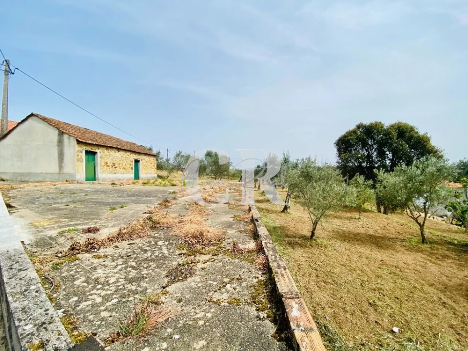 Terreno para Venda em Graça Foto 1