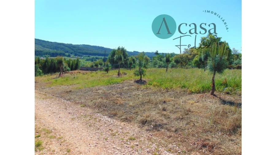 Moradia T2 para Venda em Nossa Senhora do Pranto Foto 5