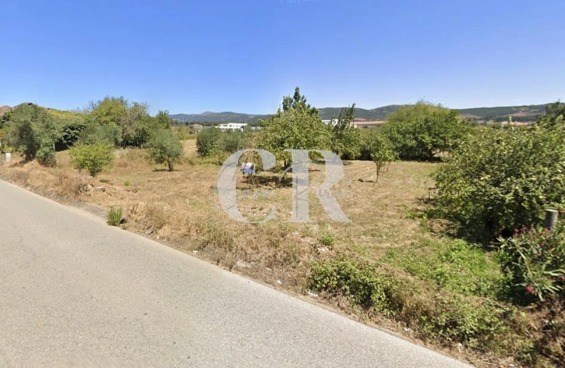 Terreno para Venda em Avelar Foto 2