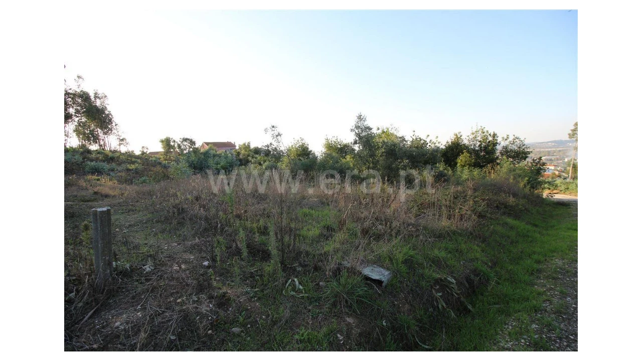 Terreno para Venda em São Martinho de Árvore e Lamarosa Foto 3