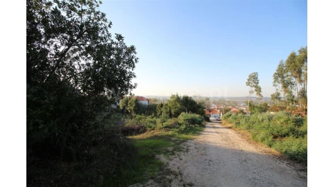 Terreno para Venda em São Martinho de Árvore e Lamarosa