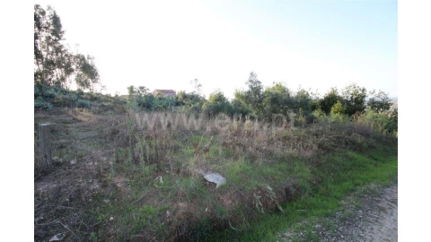 Terreno para Venda em São Martinho de Árvore e Lamarosa
