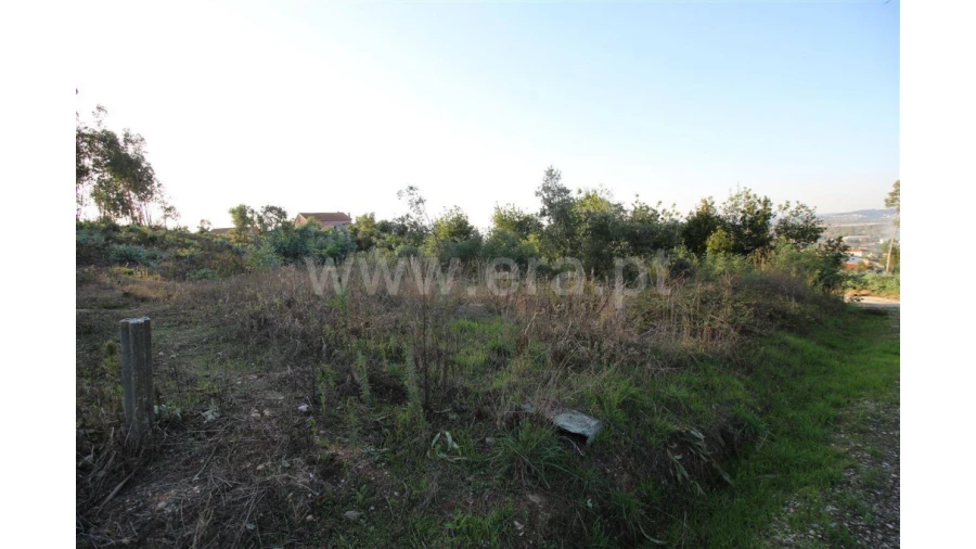 Terreno para Venda em São Martinho de Árvore e Lamarosa Foto 3