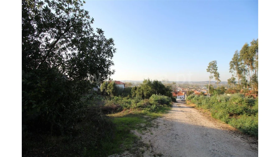 Terreno para Venda em São Martinho de Árvore e Lamarosa