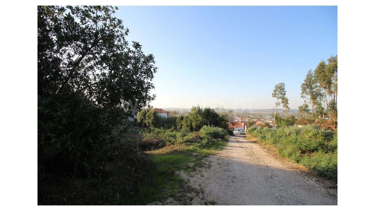 Terreno para Venda em São Martinho de Árvore e Lamarosa Foto 1