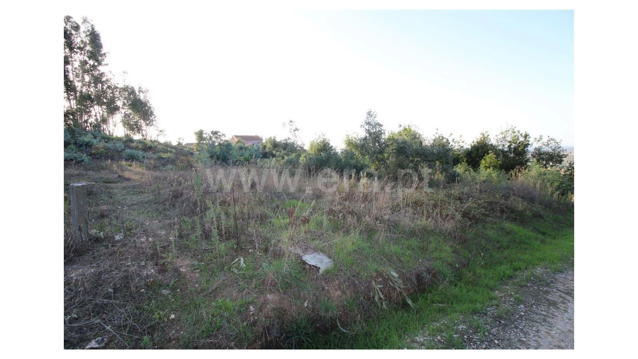 Terreno para Venda em São Martinho de Árvore e Lamarosa Foto 2