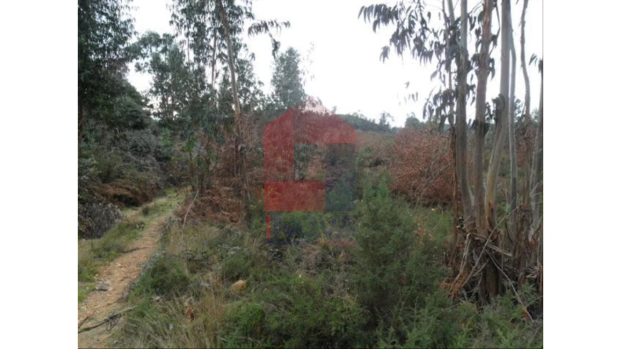 Terreno para Venda em Cervães Foto 1