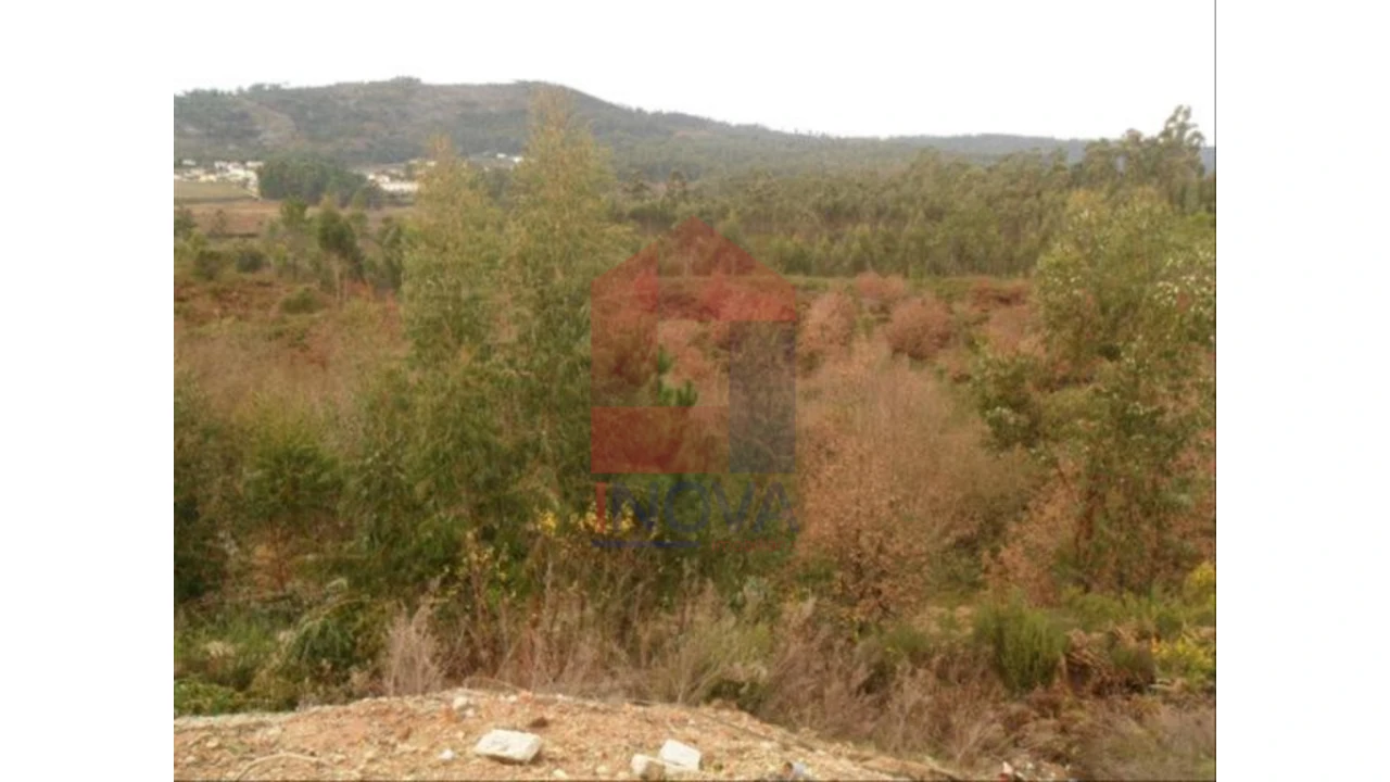 Terreno para Venda em Cervães Foto 3