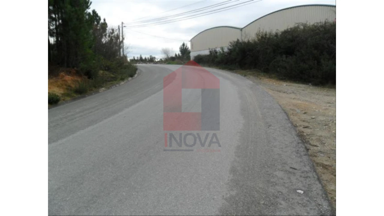 Terreno para Venda em Cervães Foto 6