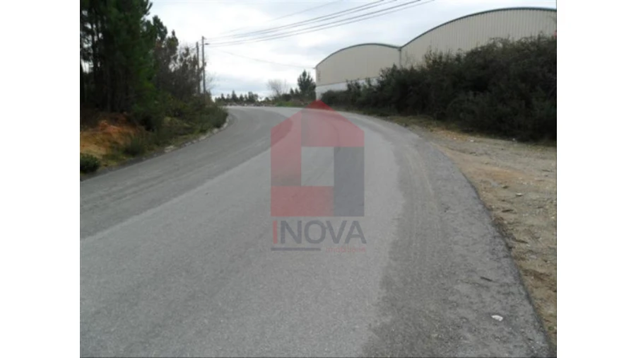 Terreno para Venda em Cervães Foto 6