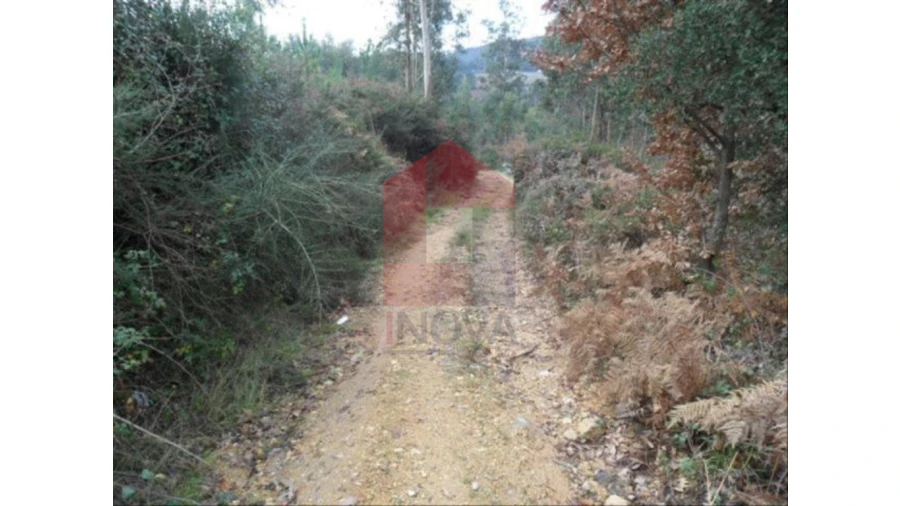 Terreno para Venda em Cervães Foto 5