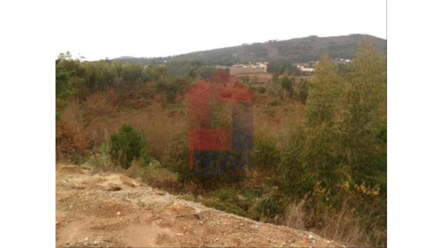 Terreno para Venda em Cervães Foto 2