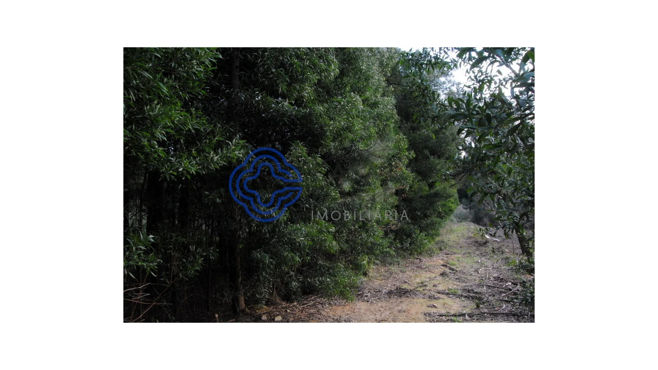 Terreno para Venda em Grijó e Sermonde Foto 8