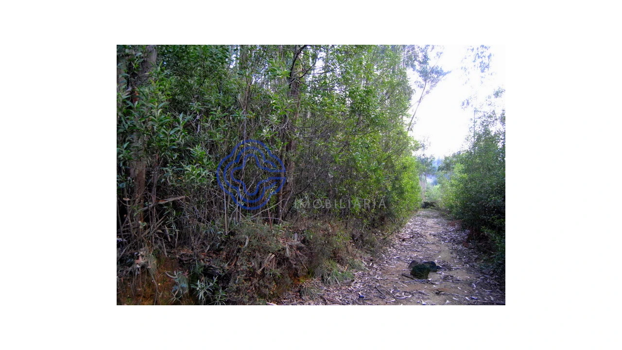 Terreno para Venda em Grijó e Sermonde Foto 12