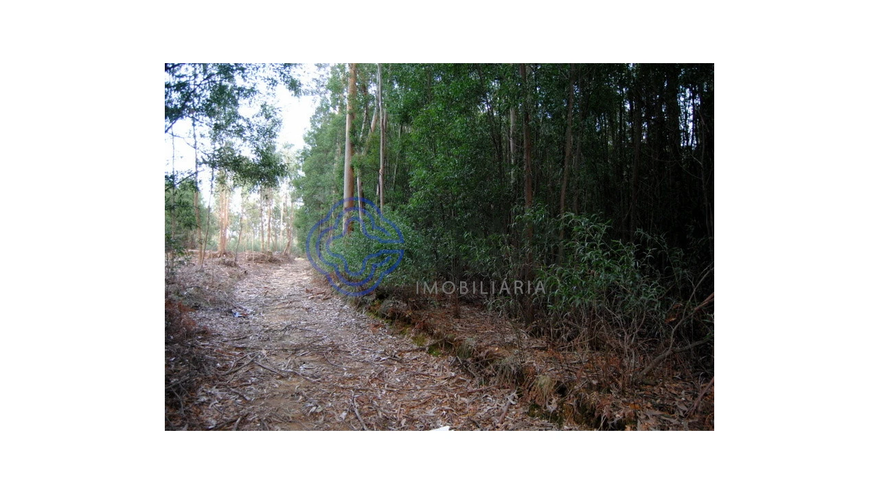 Terreno para Venda em Grijó e Sermonde Foto 14