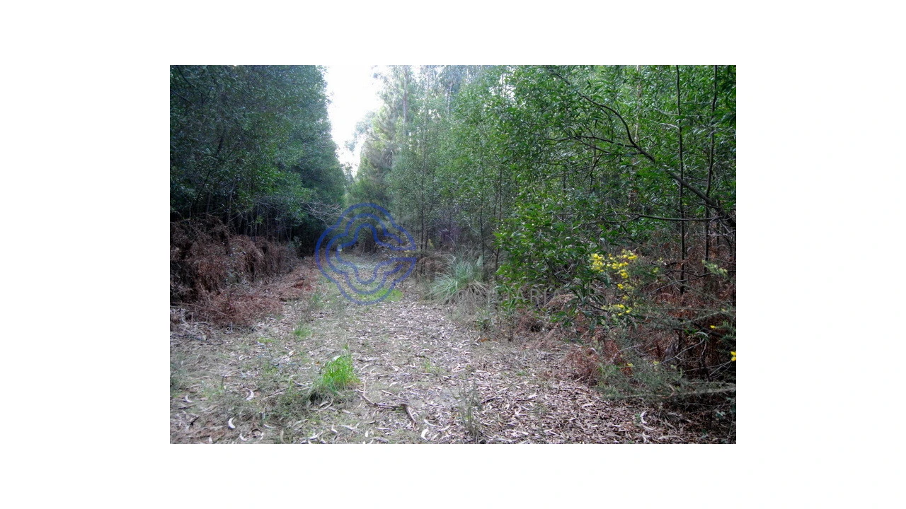 Terreno para Venda em Grijó e Sermonde Foto 18