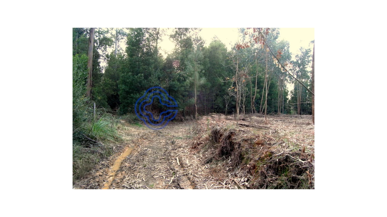 Terreno para Venda em Grijó e Sermonde Foto 16