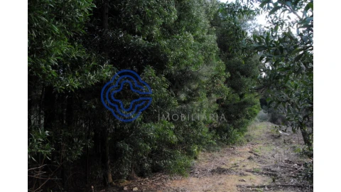 Terreno para Venda em Grijó e Sermonde