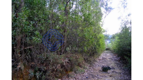 Terreno para Venda em Grijó e Sermonde