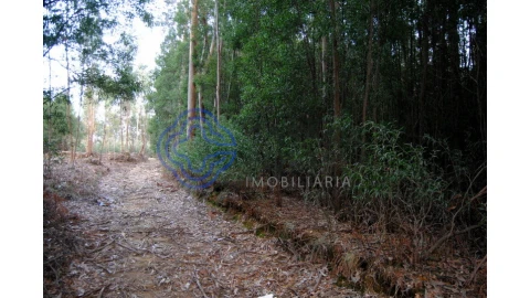 Terreno para Venda em Grijó e Sermonde