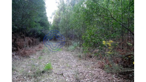 Terreno para Venda em Grijó e Sermonde