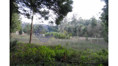 Terreno para Venda em Grijó e Sermonde