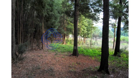 Terreno para Venda em Grijó e Sermonde