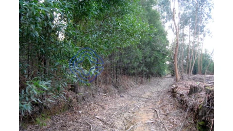 Terreno para Venda em Grijó e Sermonde