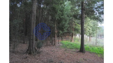 Terreno para Venda em Grijó e Sermonde