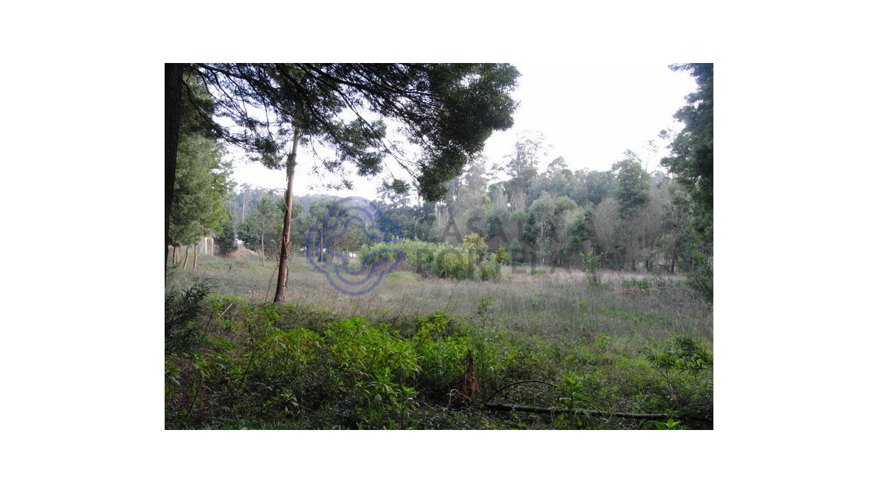 Terreno para Venda em Grijó e Sermonde Foto 10